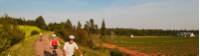 À vélo sur le sentier de la Confédération, Île-du-Prince-Édouard |  <i>Tourism PEI/Paul Baglole</i>